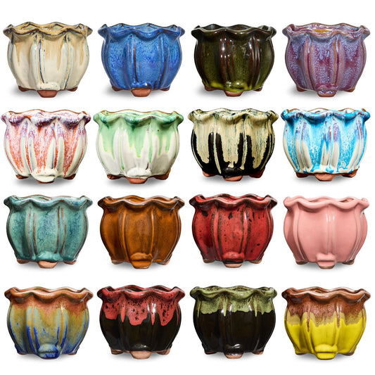 16 Collectors Pack of Succulent Pots