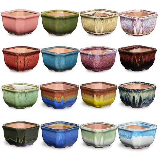 16 Collectors Pack of Square Succulent Pots