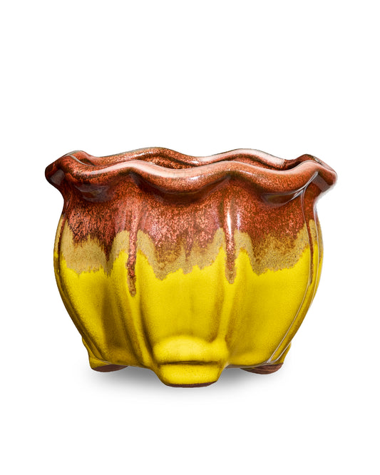 Yellow and Brown AusGardo Succulent Pot