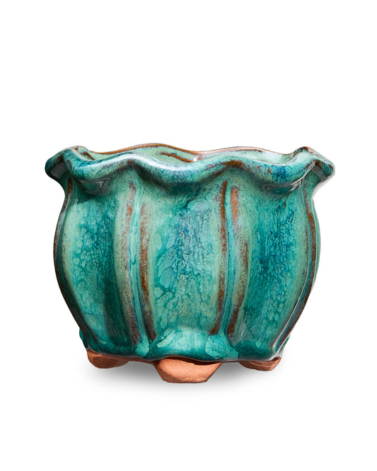 Aqua Blue AusGardo Succulent Pot