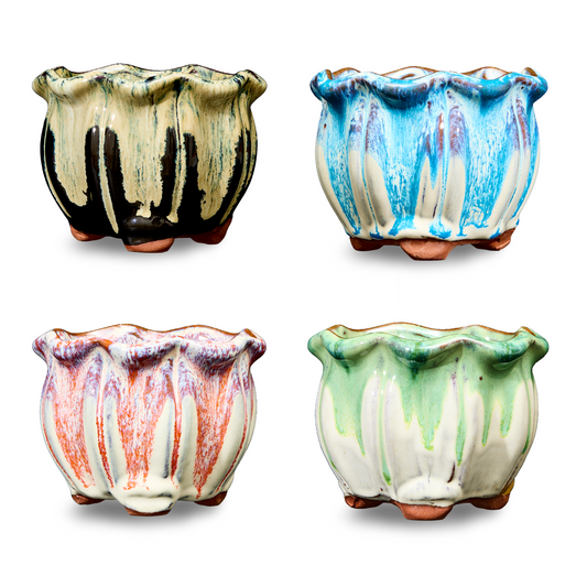 4 Pack of Two Toned Succulent Pots - Classic Collection