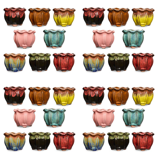 32 Value Box Of Succulent Pots - Bold Collection
