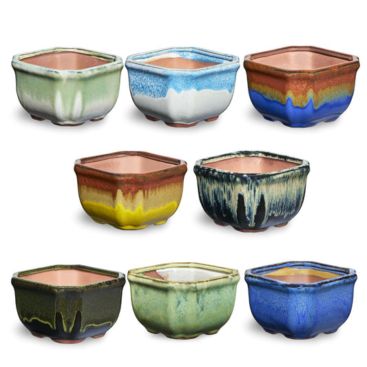 8 Pack of Ausgardo Square Succulent Pots - BOLD