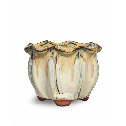 32 Value Box Of AusGardo Succulent Pots - 8 Colours - AusGardo