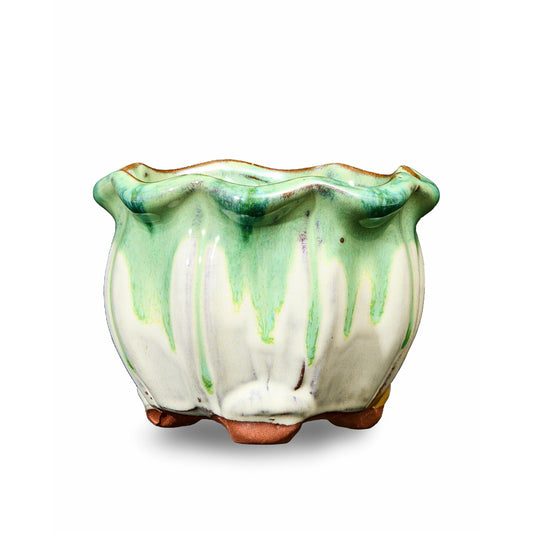 White and Green Ausgardo Succulent Pot - AusGardo