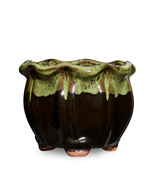 Green and Black AusGardo Succulent Pot