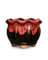 Red and Black AusGardo Succulent Pot