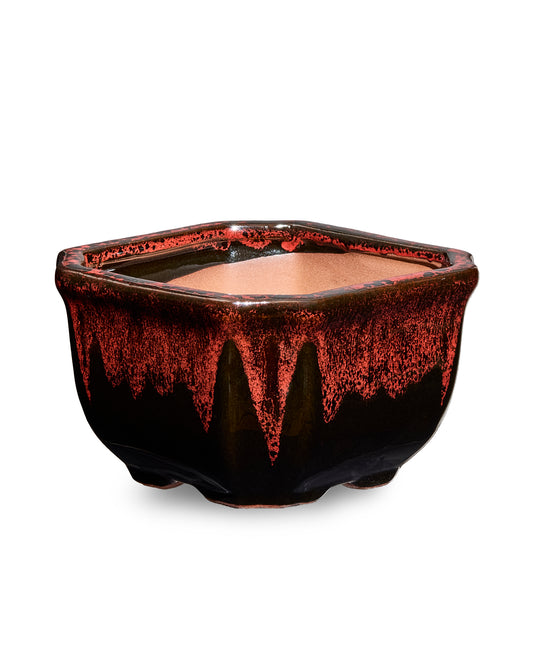 Black & Red AusGardo Square Succulent Pot