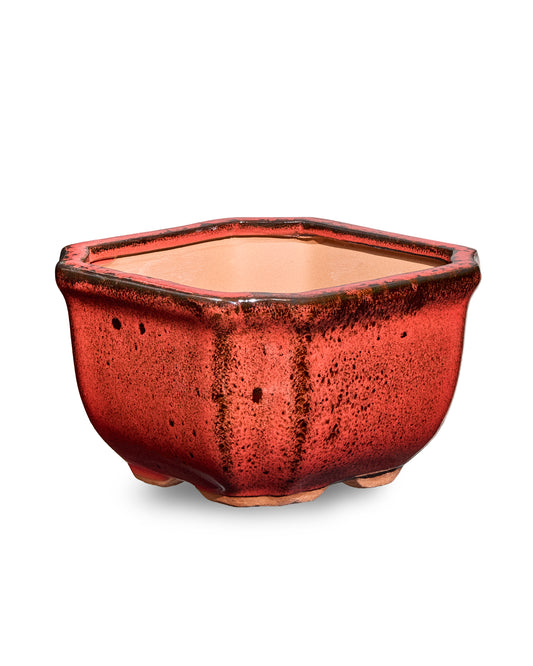 Red AusGardo Square Succulent Pot