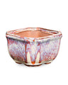 Orange & White AusGardo Square Succulent Pot