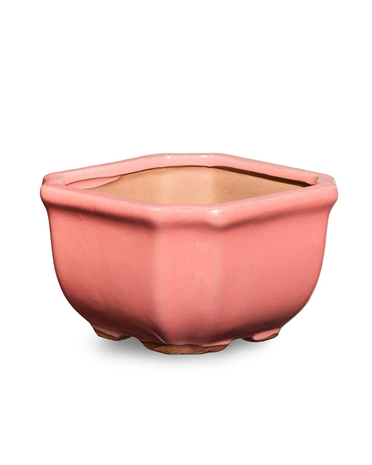 Pink AusGardo Square Succulent Pot