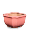 Pink AusGardo Square Succulent Pot