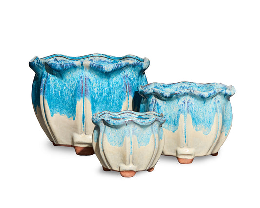 Blue and White Set - Succulent Pot