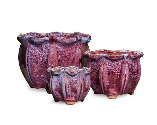 Purple Set - Succulent Pot