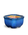 Blue AusGardo Square Succulent Pot