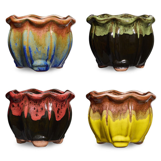 4 Pack of Two Toned Succulent Pots - Bold Collection