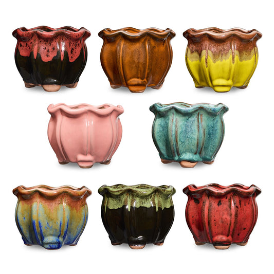 8 Pack of Succulent Pots - Bold Collection