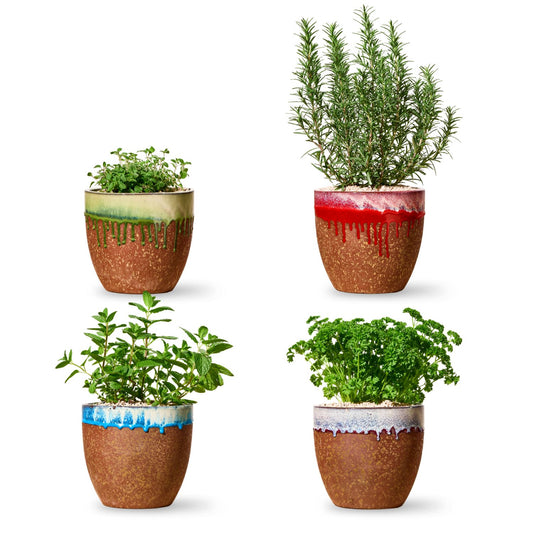 4 Pack of Herb Pots