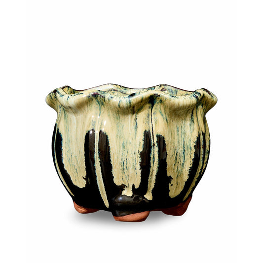 White and Black AusGardo Succulent Pot - AusGardo