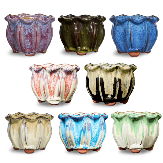 8 Collectors Pack of Ausgardo Succulent Pots - AusGardo