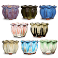 8 Collectors Pack of Ausgardo Succulent Pots - AusGardo